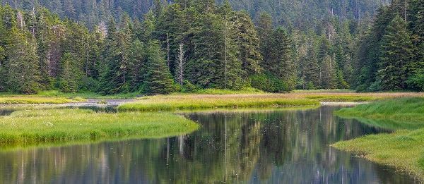 Alaska Panoramic of meadow at high tide in Tongass National Forest